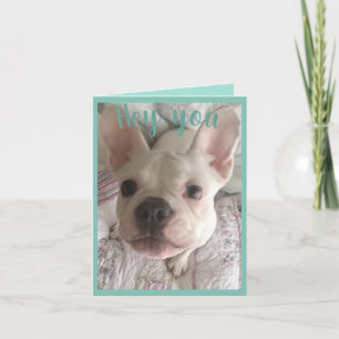 Happy birthday white French bulldog floral card Kaart