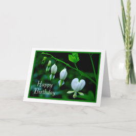 Happy Birthday White Hearts Kaart