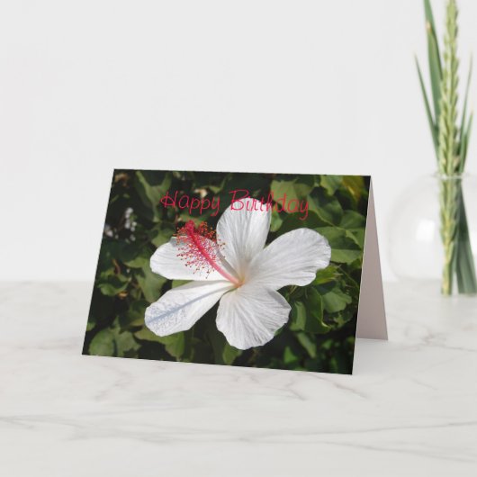 Happy Birthday White Hibiscus Kaart (Voorkant)