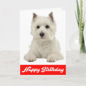 Happy Birthday White Highland Terrier Puppy Dog Kaart (Voorkant)