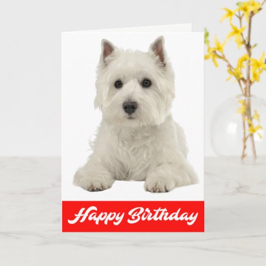 Happy Birthday White Highland Terrier Puppy Dog Kaart (Gele Bloem)