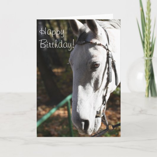 Happy Birthday White Horse Wenskaart Kaart (Voorkant)