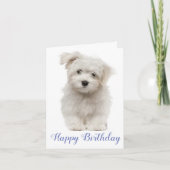 Happy Birthday White Maltese Puppy Dog Blue Kaart (Voorkant)