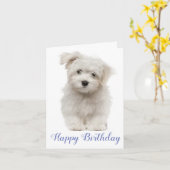 Happy Birthday White Maltese Puppy Dog Blue Kaart (Gele Bloem)