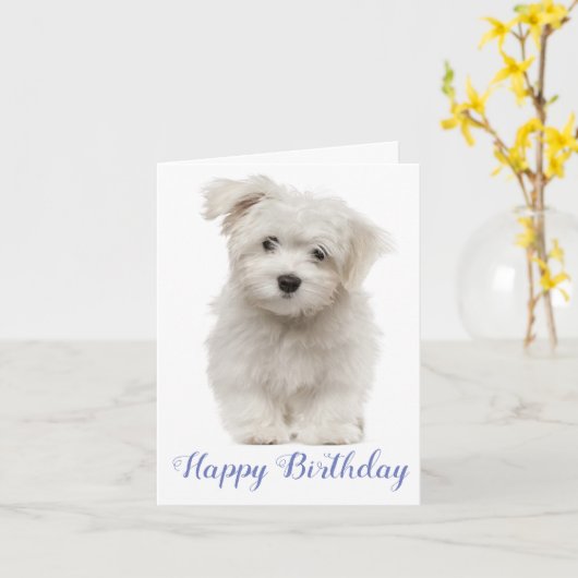 Happy Birthday White Maltese Puppy Dog Blue Kaart (Gele Bloem)
