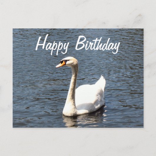 Happy Birthday white swan Briefkaart (Voorkant)