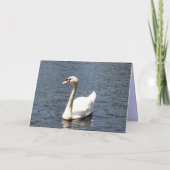 Happy Birthday white swan Kaart (Achterkant)