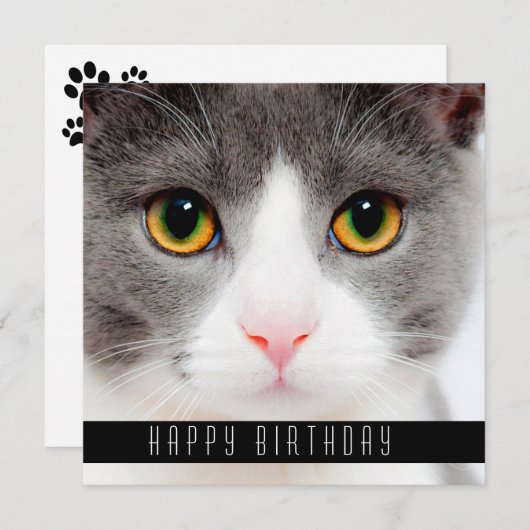Happy Birthday wil katten Aankondiging (Voorkant / Achterkant)