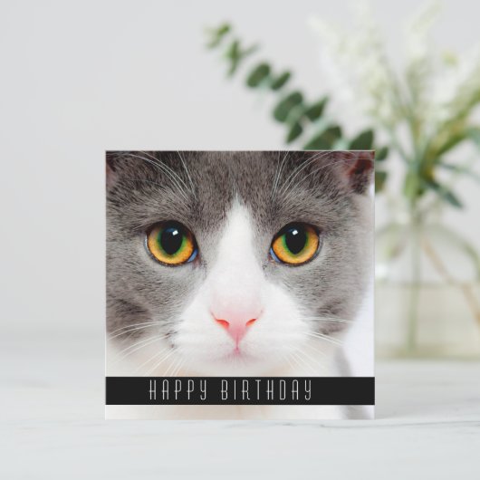 Happy Birthday wil katten Aankondiging (Staand voorkant)