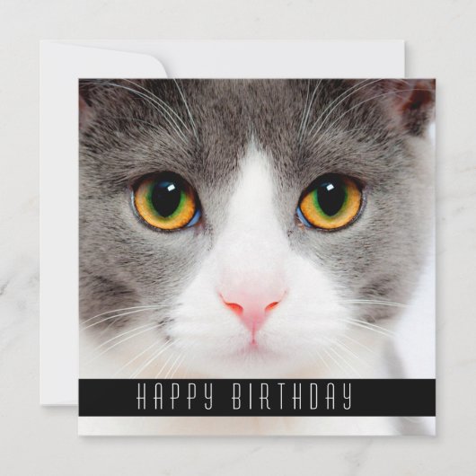 Happy Birthday wil katten Aankondiging (Voorkant)