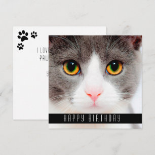 Happy Birthday wil katten Aankondiging