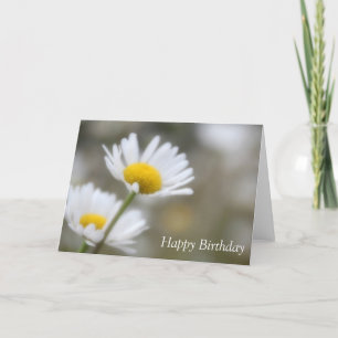 Happy Birthday Wild Daisies Kaart
