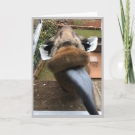 Happy Birthday Wildlife Kiss Feestdagen Kaart