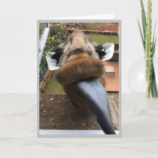 Happy Birthday Wildlife Kiss Feestdagen Kaart (Voorkant)