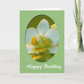 Happy Birthday, witte orchidee bloemen in groen ko Kaart (Voorkant)