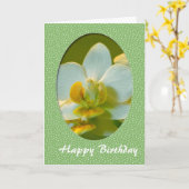 Happy Birthday, witte orchidee bloemen in groen ko Kaart (Gele Bloem)