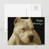 Happy Birthday Witte pitbull briefkaart (Voorkant / Achterkant)