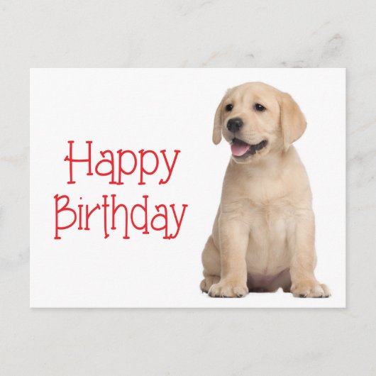 Happy Birthday Yellow Labrador Retriever Briefkaar Briefkaart (Voorkant)
