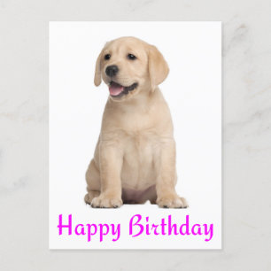 Happy Birthday Yellow Labrador Retriever Briefkaar Briefkaart