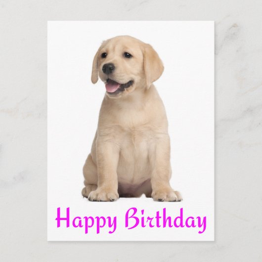 Happy Birthday Yellow Labrador Retriever Briefkaar Briefkaart (Voorkant)