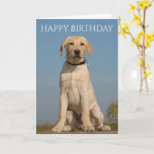 Happy Birthday Yellow Labrador Retriever Puppy Dog Kaart (Gele Bloem)
