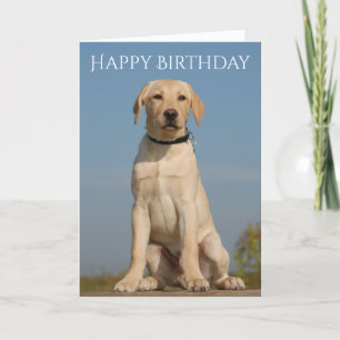 Happy Birthday Yellow Labrador Retriever Puppy Dog Kaart