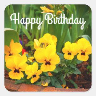 Happy Birthday Yellow Pansy #1 Sticker