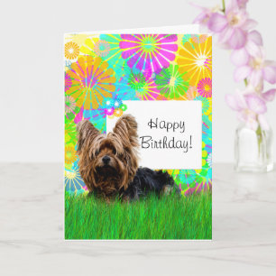 Happy Birthday Yorkie Dog Card Kaart