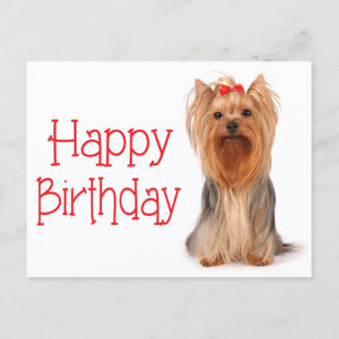Happy Birthday Yorkshire Terrier Puppy Briefkaart