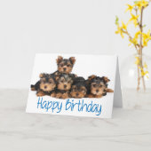 Happy Birthday Yorkshire Terrier Puppy Dog Blue Kaart (Gele Bloem)