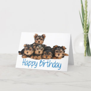 Happy Birthday Yorkshire Terrier Puppy Dog Blue Kaart