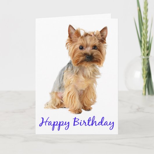 Happy Birthday Yorkshire Terrier Puppy Dog Card Kaart (Voorkant)