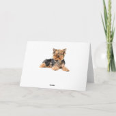 Happy Birthday Yorkshire Terrier Puppy Dog Red Kaart (Achterkant)
