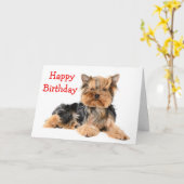 Happy Birthday Yorkshire Terrier Puppy Dog Red Kaart (Gele Bloem)