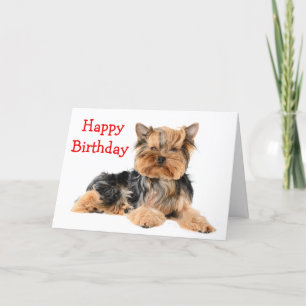 Happy Birthday Yorkshire Terrier Puppy Dog Red Kaart