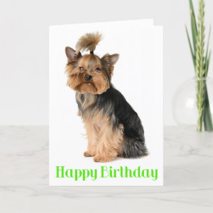 Happy Birthday Yorkshire Terrier Puppy Dog Verse Kaart