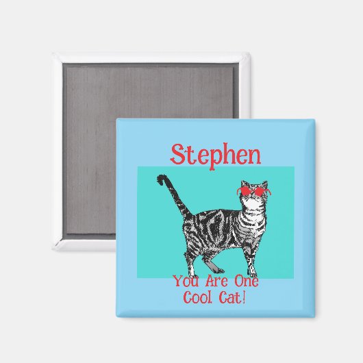 Happy Birthday You Cool Tabby Cat Mannen man Magneet (Voorkant / Achterkant)