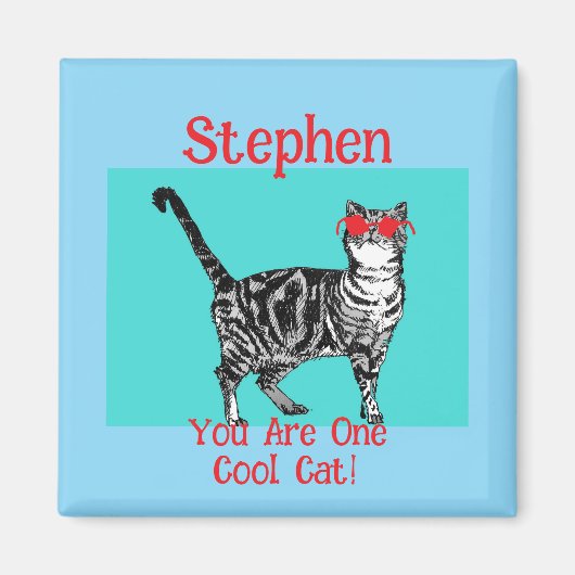 Happy Birthday You Cool Tabby Cat Mannen man Magneet (Voorkant)