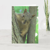 Happy Birthday You Nut Funny Squirrel Kaart (Voorkant)