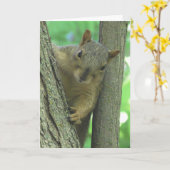 Happy Birthday You Nut Funny Squirrel Kaart (Gele Bloem)