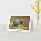 Happy Birthday-You Old Coot Kaart (Gele Bloem)