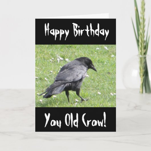 Happy Birthday You Old Crow Belediging Verjaardag  Kaart (Voorkant)