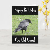 Happy Birthday You Old Crow Belediging Verjaardag  Kaart (Gele Bloem)