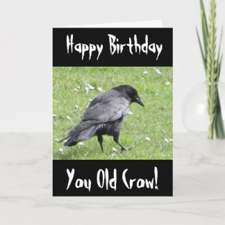 Happy Birthday You Old Crow Belediging Verjaardag Kaart