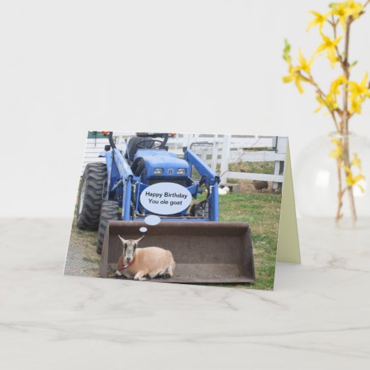 Happy Birthday You Old Goat Het is jouw speciale d Kaart (Gele Bloem)
