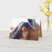 Happy Birthday You Old Goat Wenskaart Kaart (Gele Bloem)