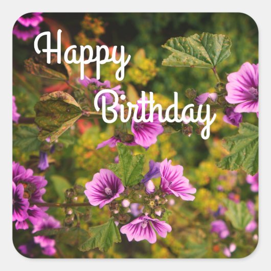 Happy BIrthday Zebra Hollyhock Flowers Stickers (Voorkant)