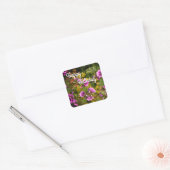 Happy BIrthday Zebra Hollyhock Flowers Stickers (Envelop)