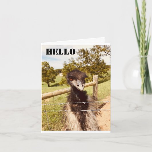 "HAPPY BIRTHDAY" ZEGT OSTRICH KAART (Voorkant)