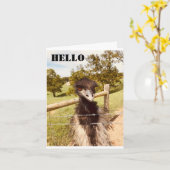 "HAPPY BIRTHDAY" ZEGT OSTRICH KAART (Gele Bloem)